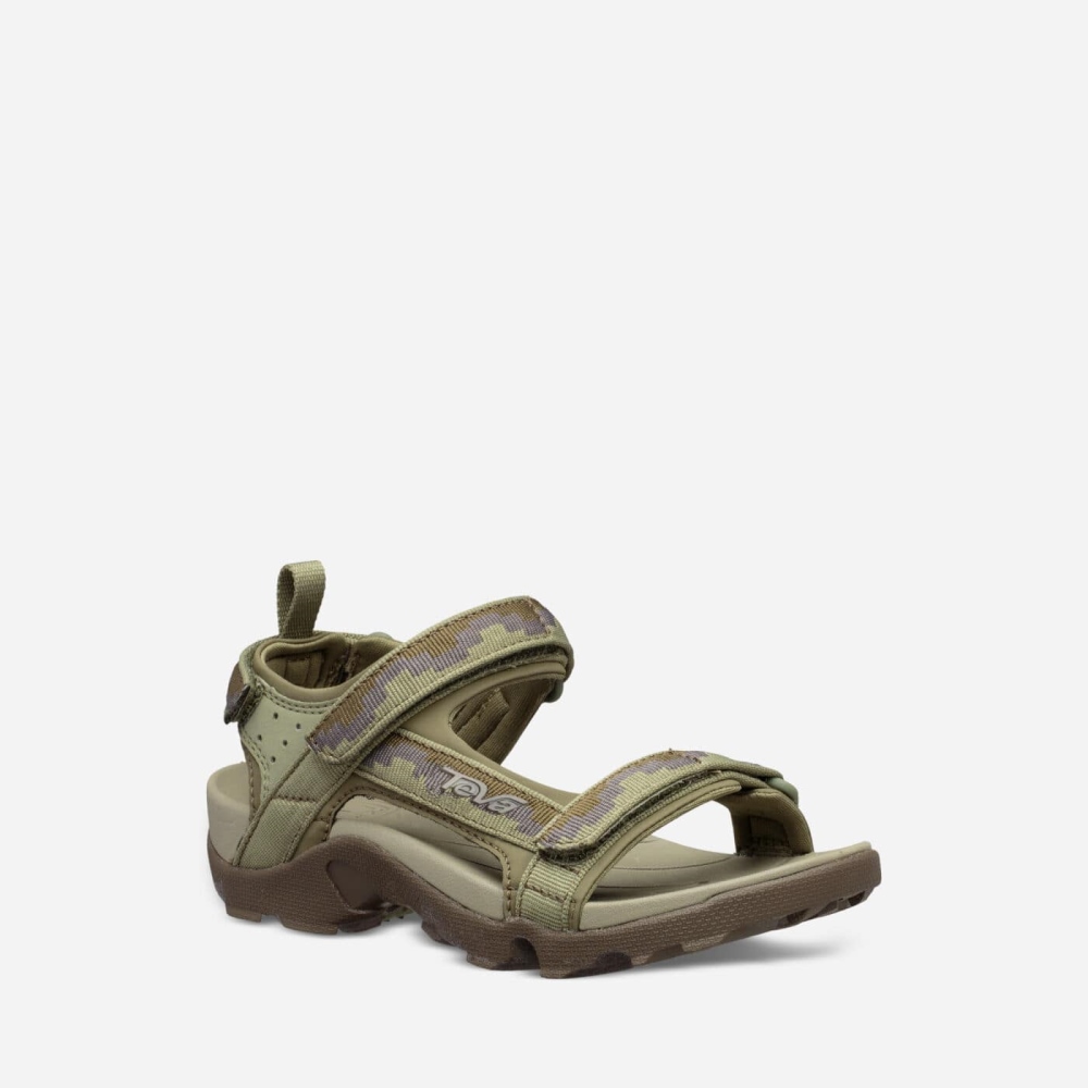 Teva Kids Tanza Hiking Sandals Sale NZ (YZREJ-1628)